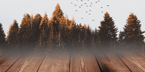 Taches de graisse sur les planchers en bois